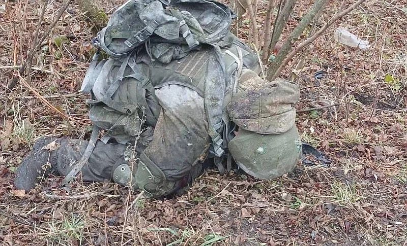 Потери армии КНДР в российско-украинской войне