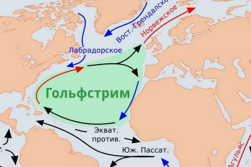 Теплое течение Гольфстрим