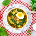 Зелений борщ з кропиви